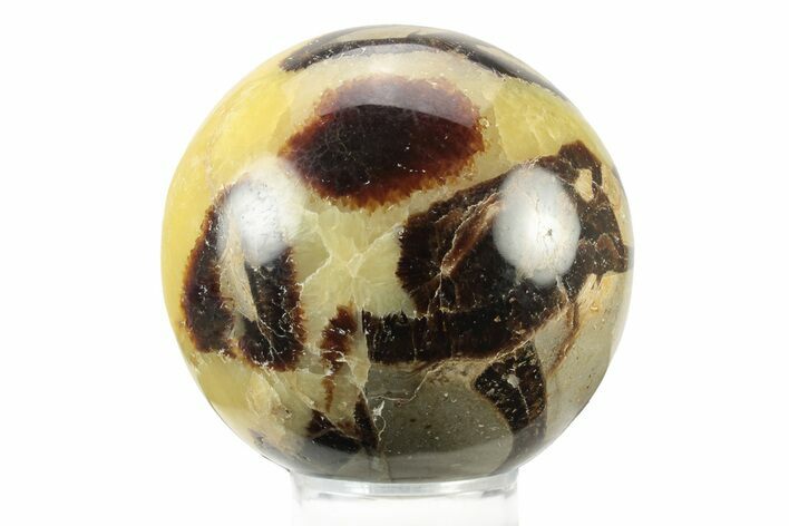 Polished Septarian Sphere - Madagascar #238994
